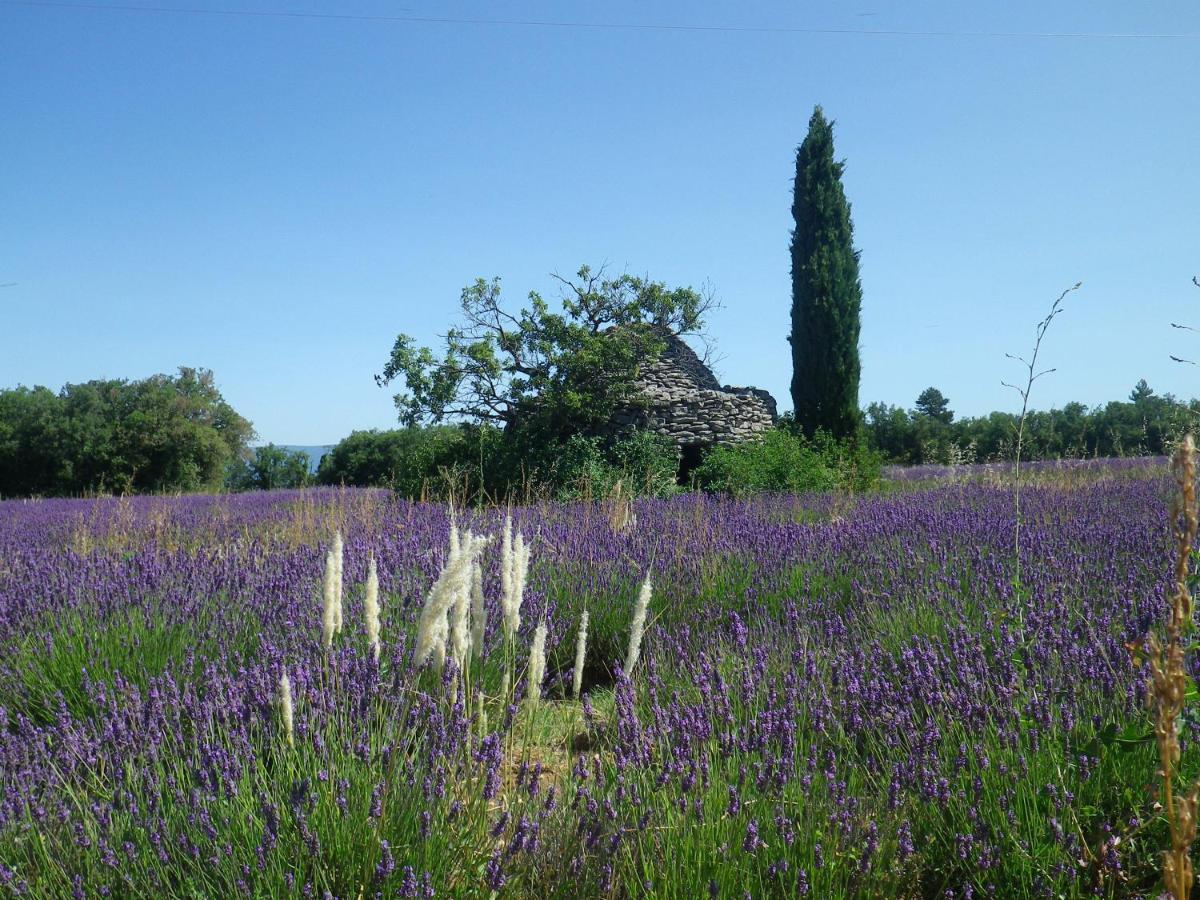 La Mordoree La Motte-d'Aigues Exterior photo